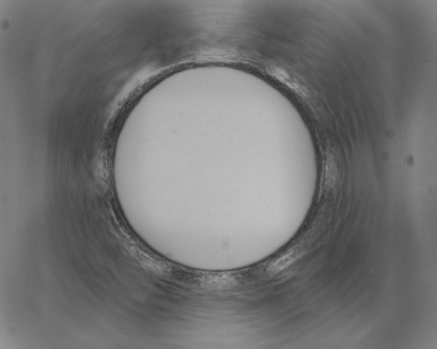 X0000062611454200601181617