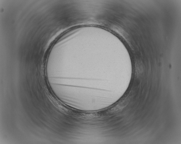 X0000062611460200601181617