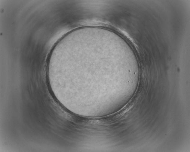 X0000062611463200601181617