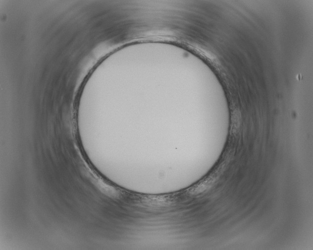 X0000062611470200601181617