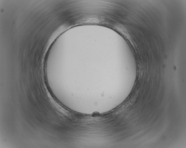 X0000062611475200601181617