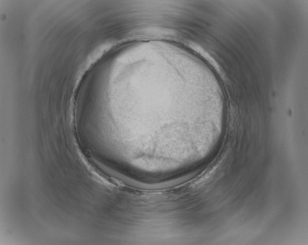 X0000062611477200601181617