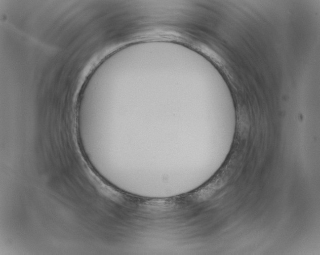 X0000062611478200601181617