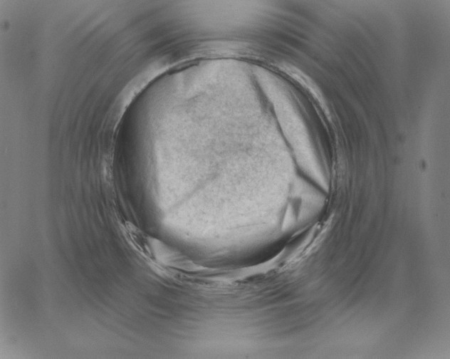 X0000062611481200601181617