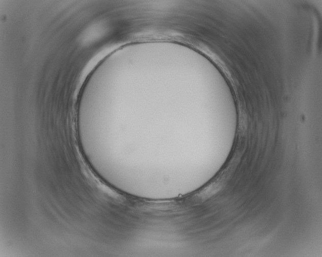 X0000062611486200601181617