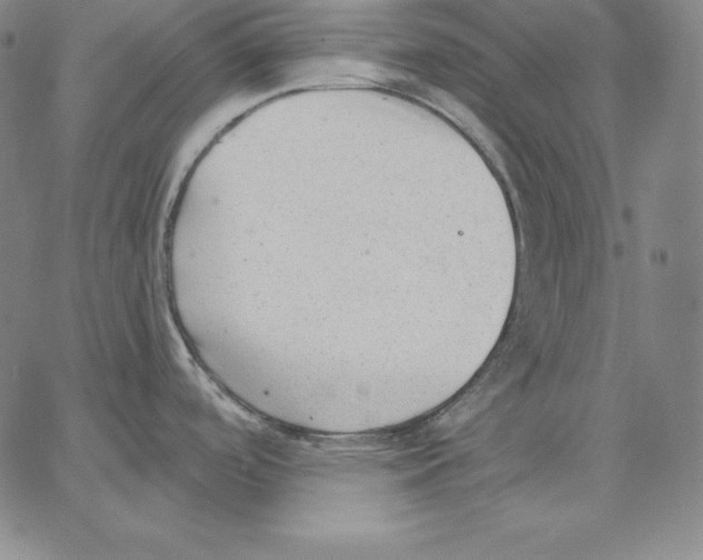 X0000062611488200601181617