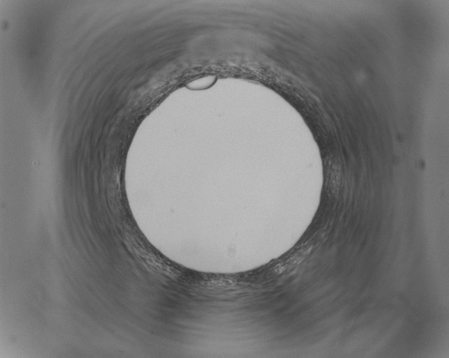 X0000062611489200601181616