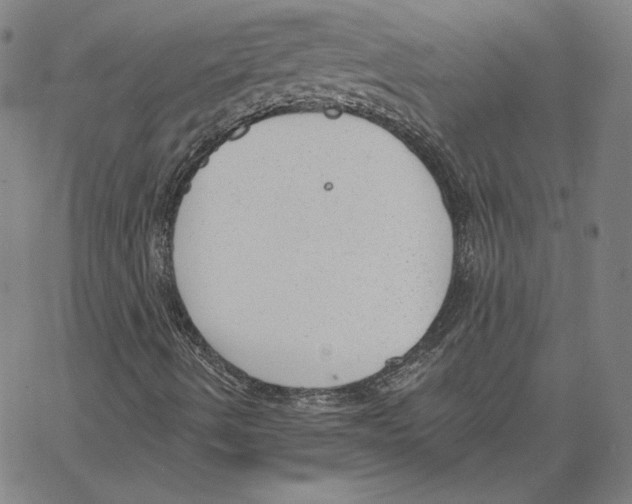 X0000062611490200601181616