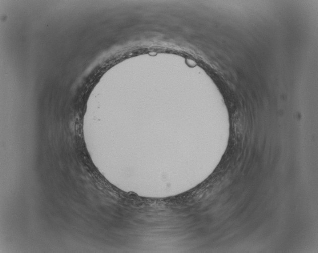 X0000062611495200601181616