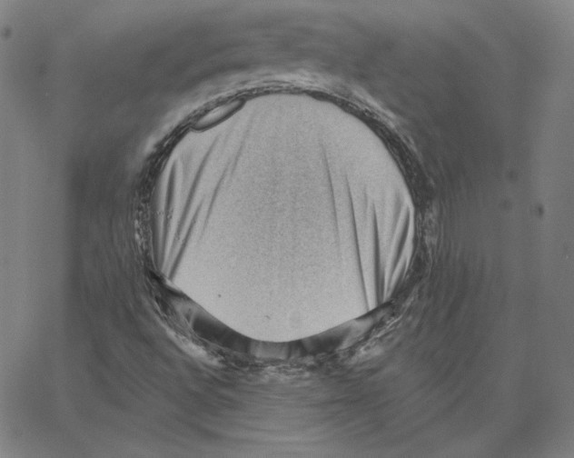 X0000062611496200601181616