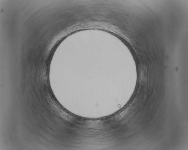 X0000062611498200601181616