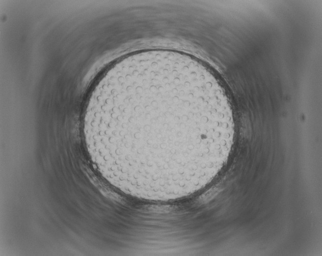 X0000062611499200601181616