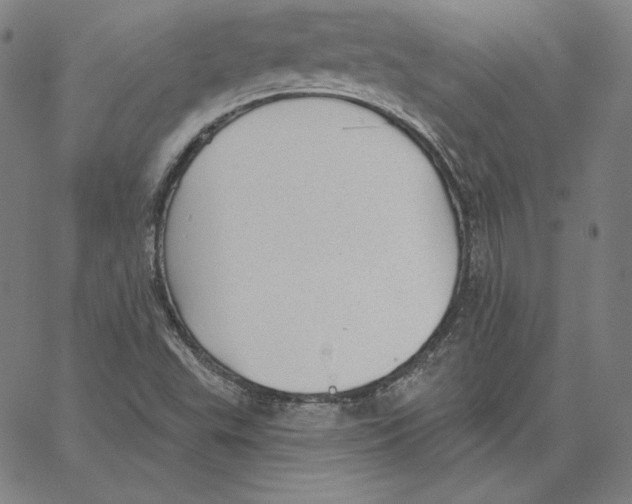 X0000062611503200601181616