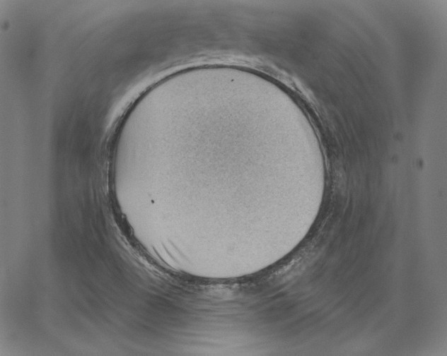 X0000062611504200601181616