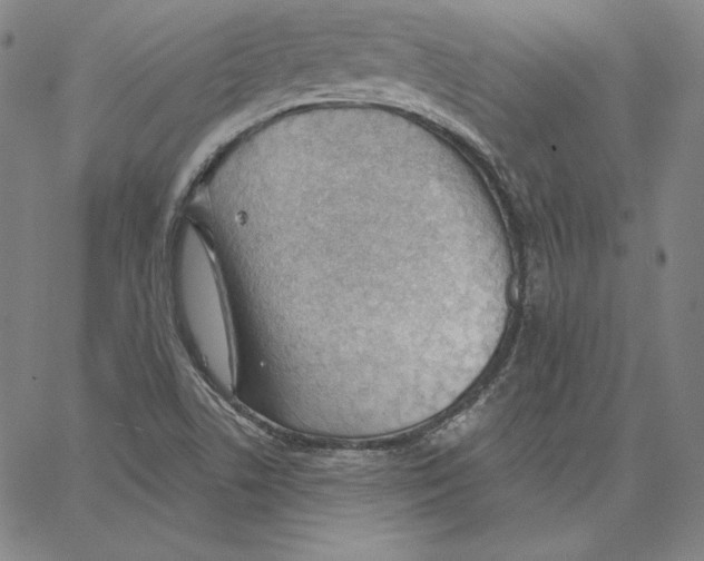 X0000062611506200601181616