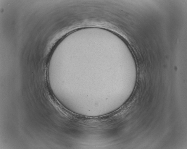 X0000062611507200601181616