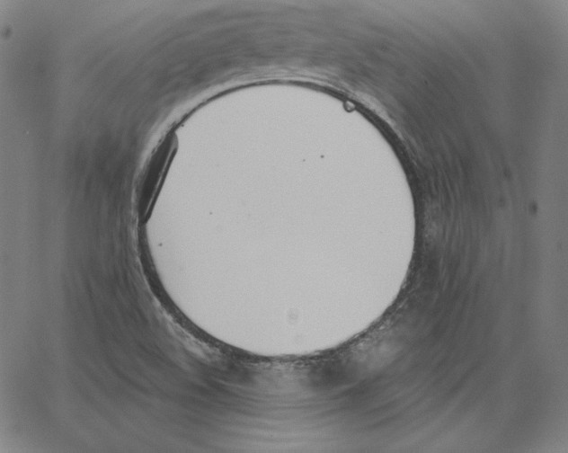 X0000062611508200601181616