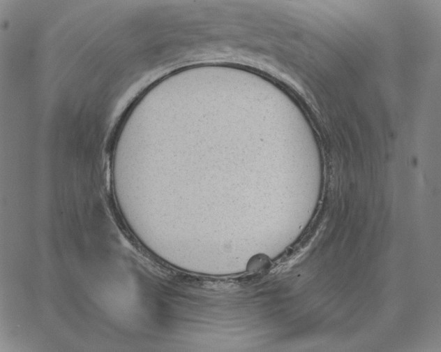 X0000062611509200601181616