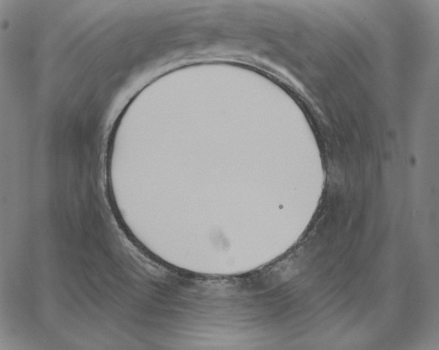 X0000062611512200601181616