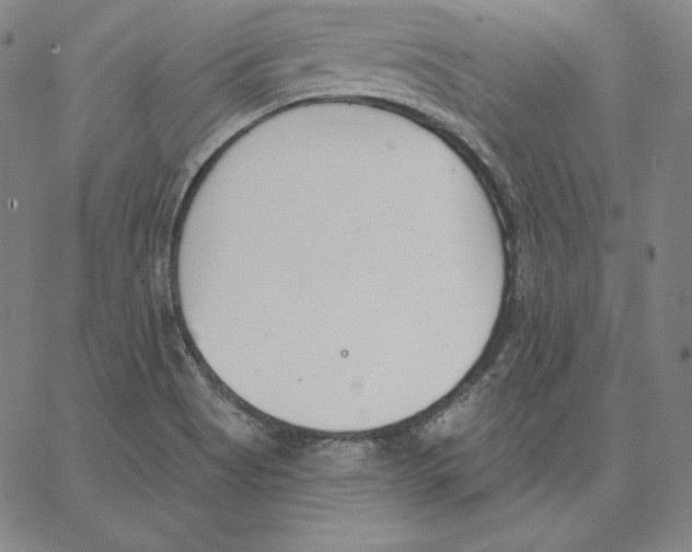 X0000062611513200601181616