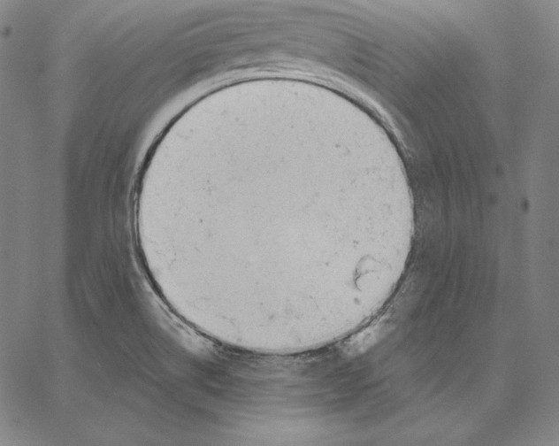 X0000062611514200601181616