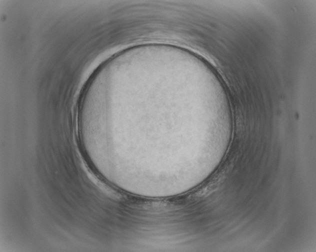 X0000062611515200601181616