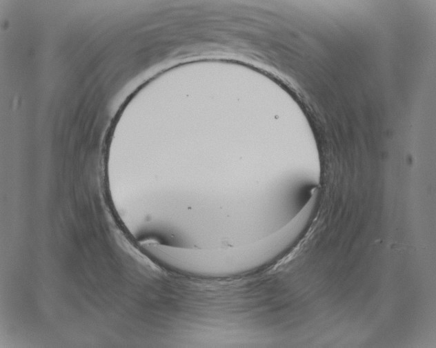 X0000062611518200601181616