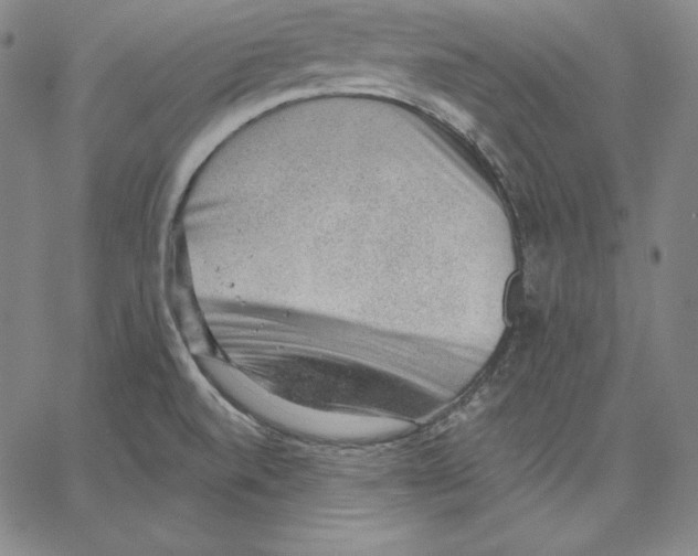 X0000062611520200601181616