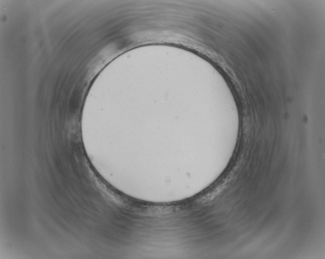 X0000062611521200601181616