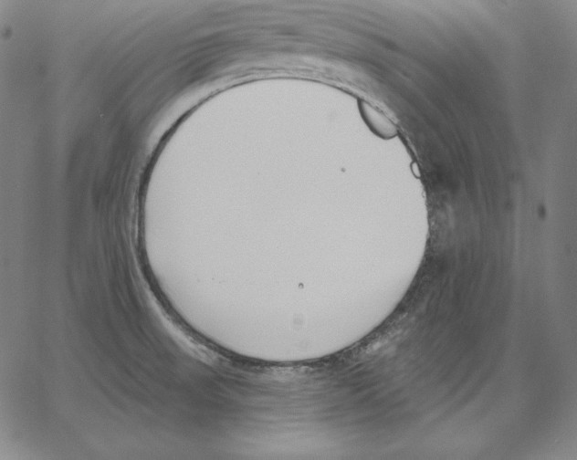 X0000062611523200601181616