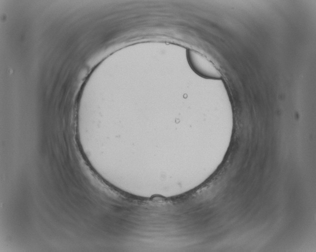 X0000062611526200601181617