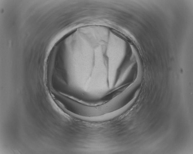 X0000062611528200601181617