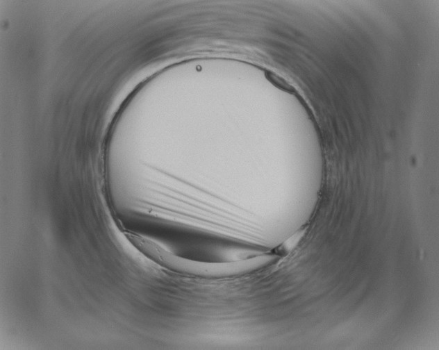 X0000062611531200601181617