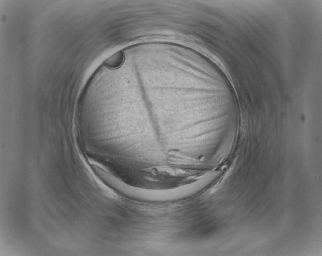 X0000062611533200601181617