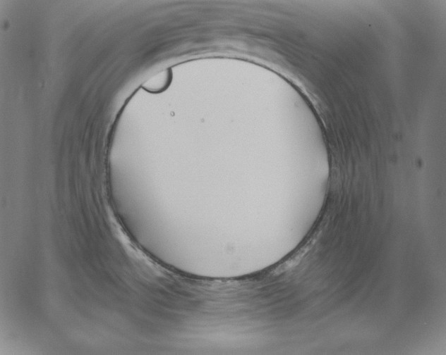 X0000062611534200601181617