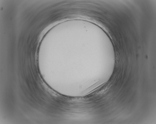 X0000062611535200601181617