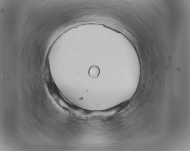 X0000062611536200601181617