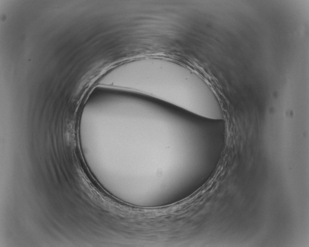 X0000062620002200512210924