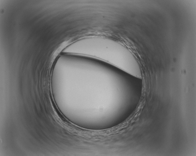 X0000062620003200512210924