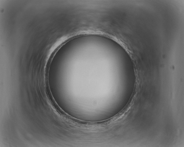 X0000062620008200512210924