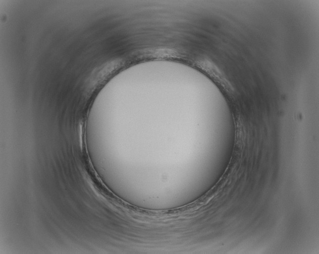 X0000062620014200512210924