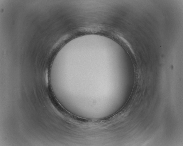 X0000062620020200512210924