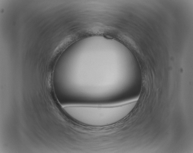 X0000062620023200512210924