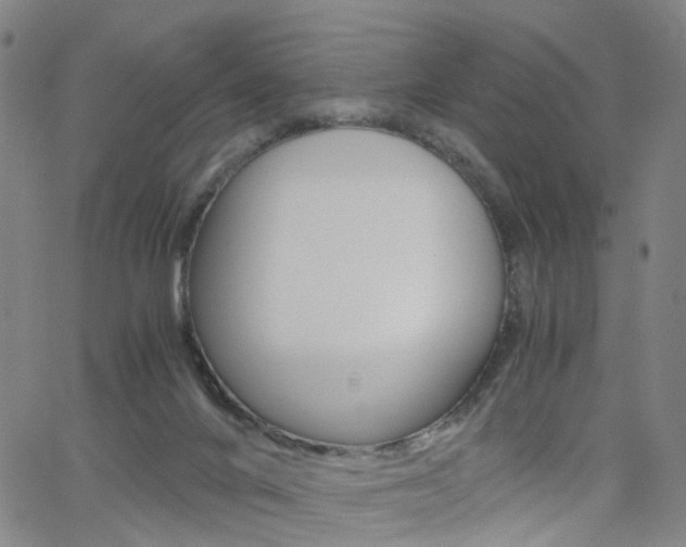 X0000062620024200512210924