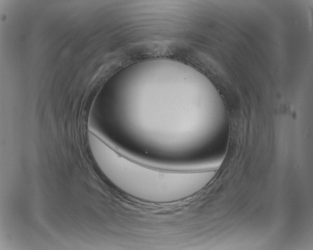 X0000062620035200512210924