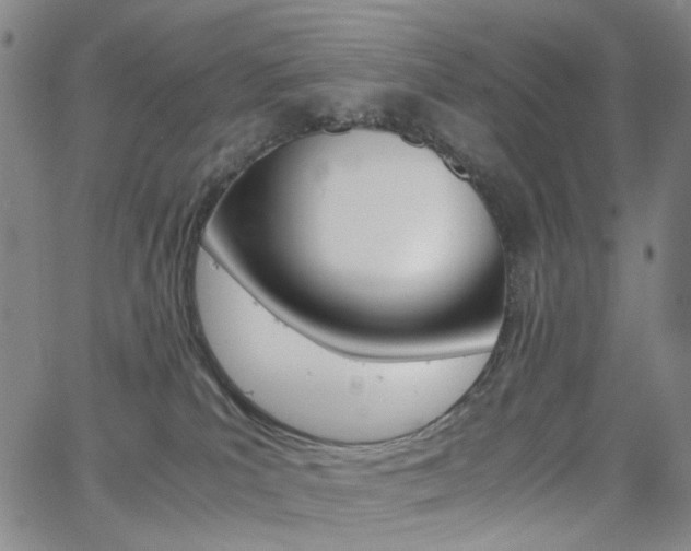 X0000062620039200512210924