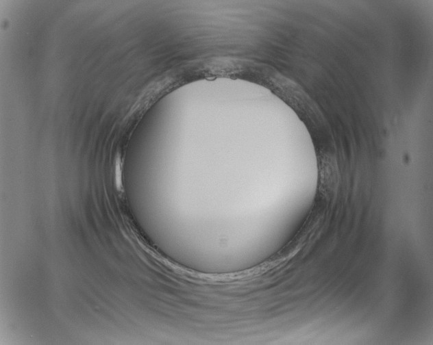 X0000062620046200512210923