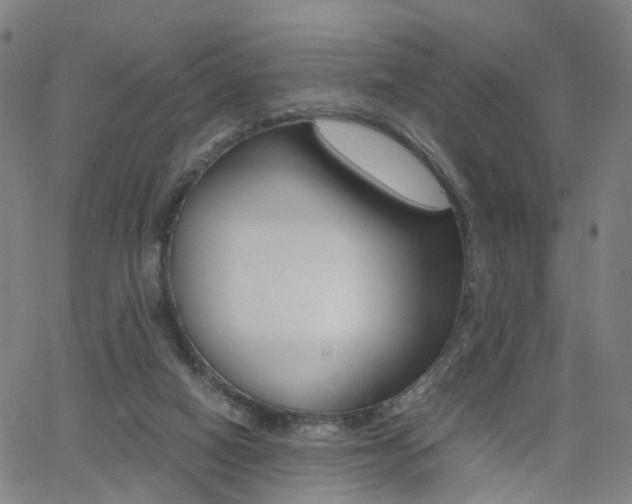 X0000062620066200512210923