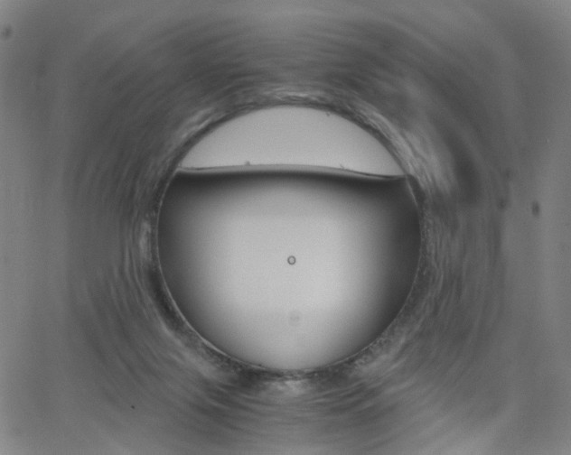X0000062620071200512210923