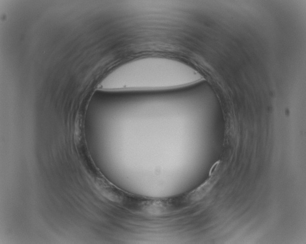 X0000062620074200512210923